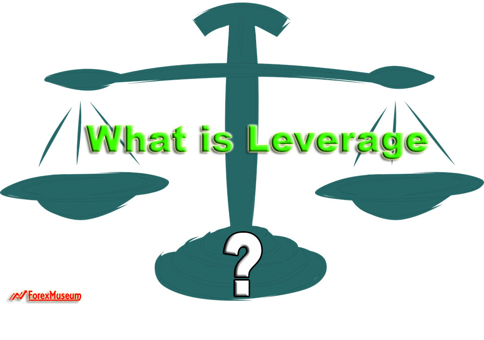  What is the leverage?