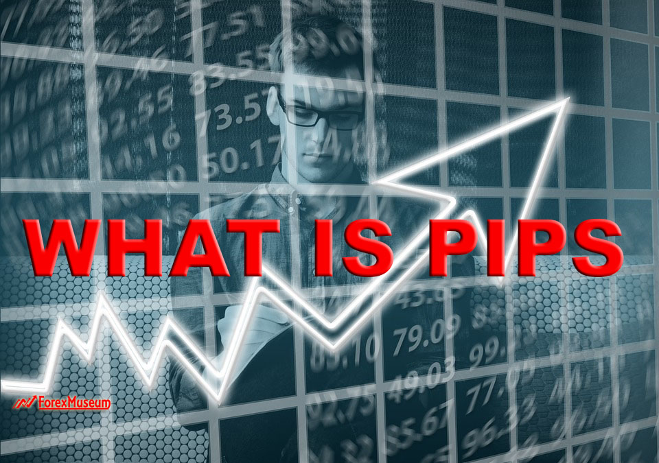  What is Forex Pips?